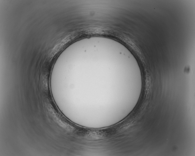 X0000115700489200912031509