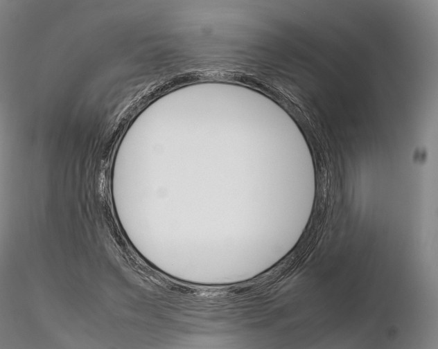 X0000115700495200912031509