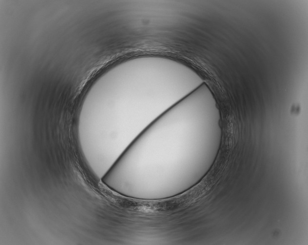 X0000115700496200912031509