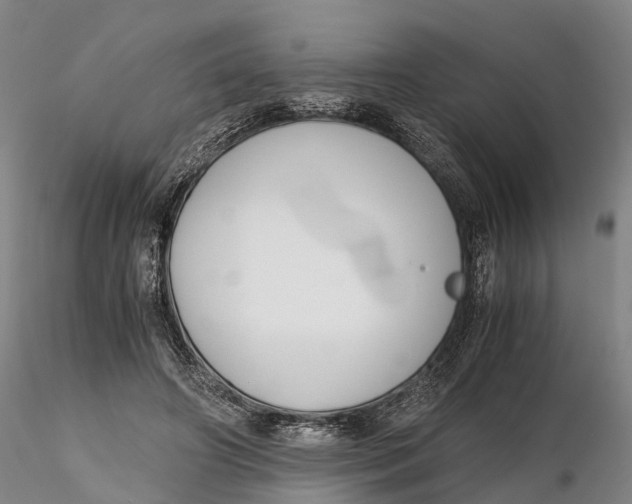 X0000115700498200912031509