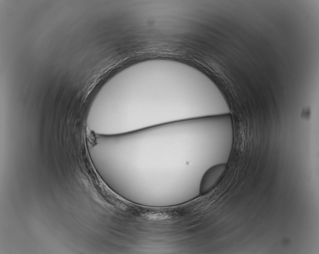 X0000115700500200912031509