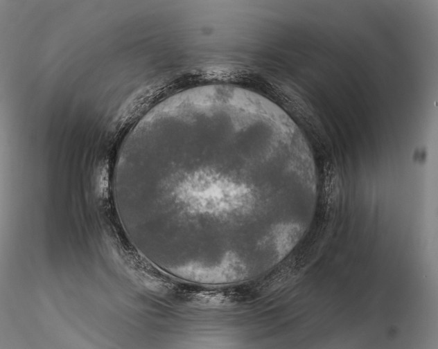 X0000115700502200912031509