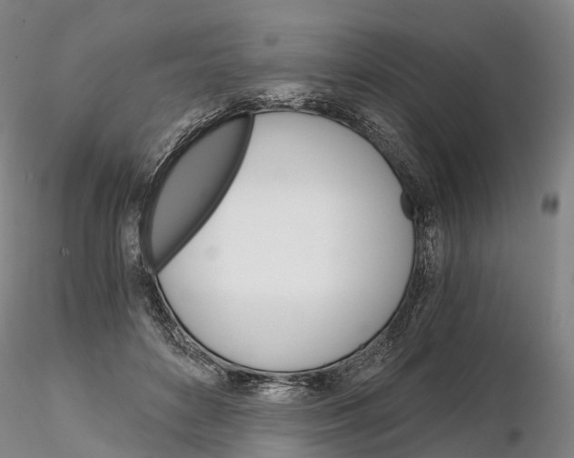 X0000115700504200912031509