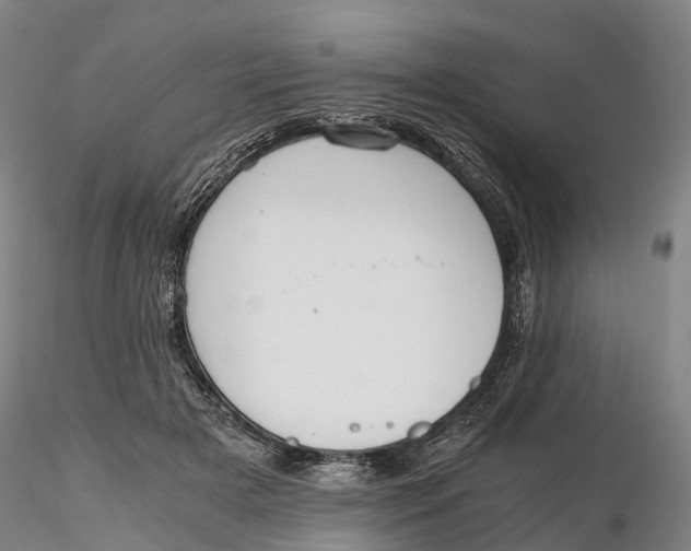 X0000115700505200912031509