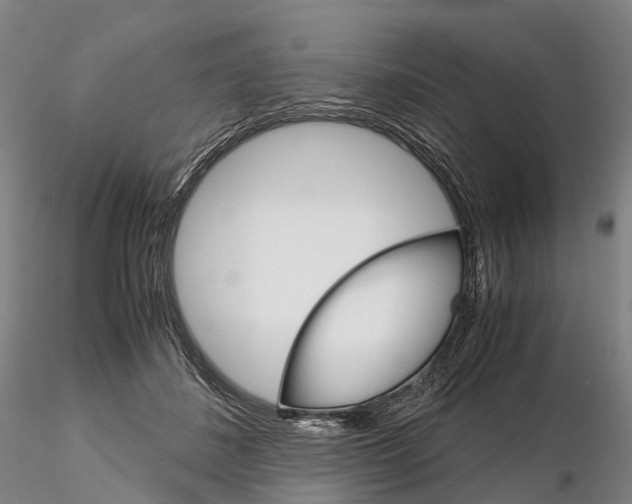 X0000115700508200912031508