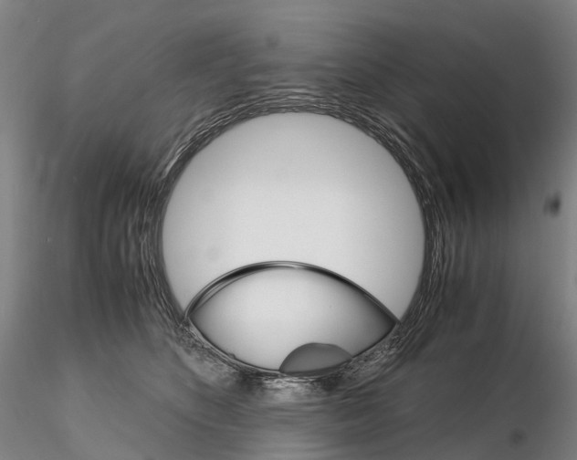 X0000115700516200912031508