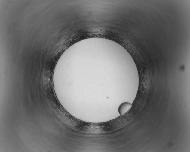 X0000115700518200912031508