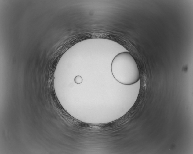 X0000115700519200912031508