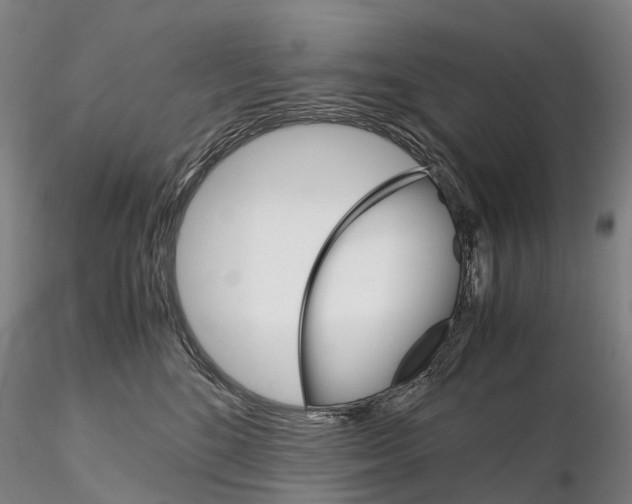 X0000115700520200912031508