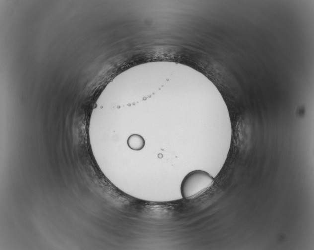 X0000115700522200912031508