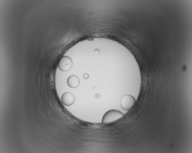 X0000115700523200912031508