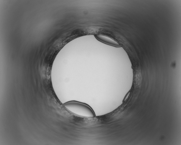 X0000115700525200912031508