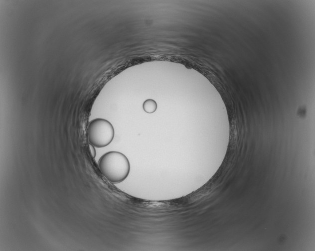 X0000115700527200912031508