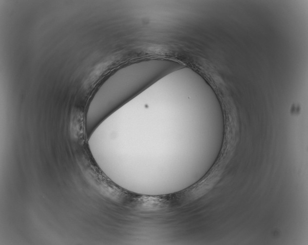 X0000115700528200912031508