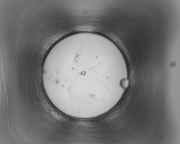 X0000115700529200912031507