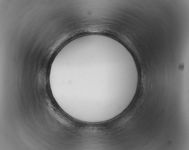 X0000115700530200912031507