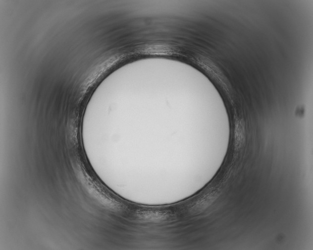 X0000115700533200912031507