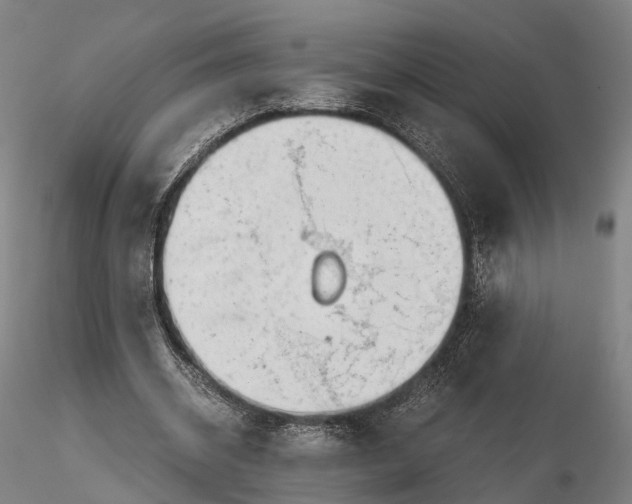 X0000115700534200912031507