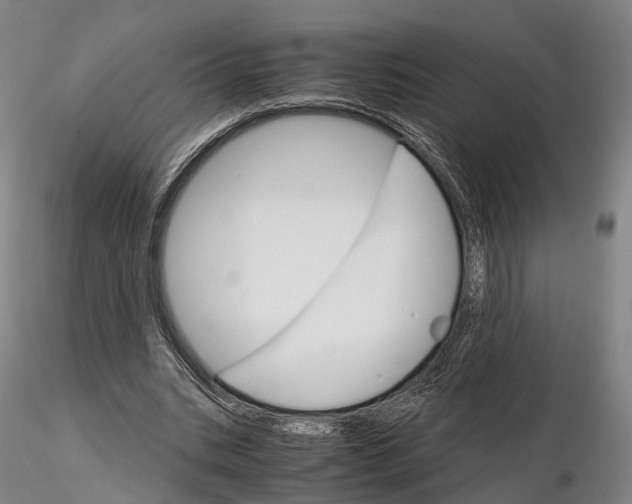 X0000115700535200912031507