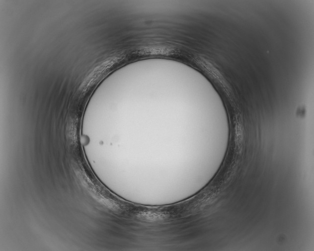 X0000115700537200912031507