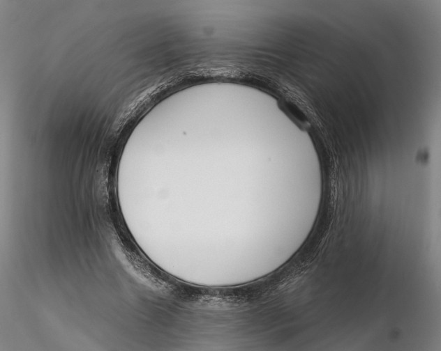 X0000115700538200912031507