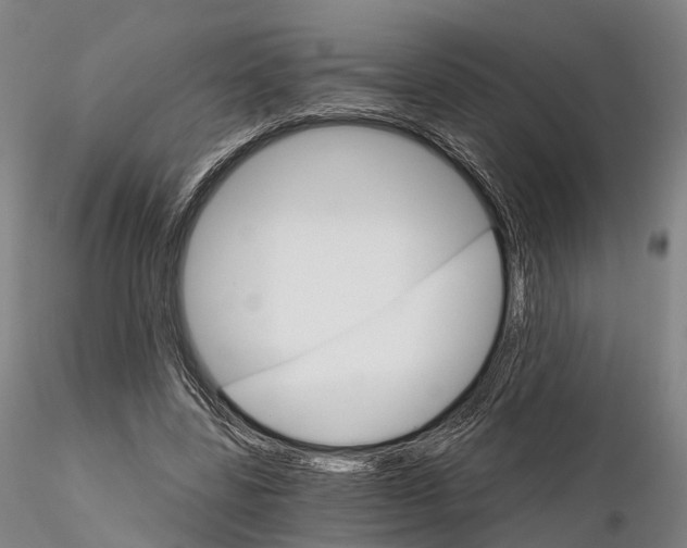 X0000115700539200912031508