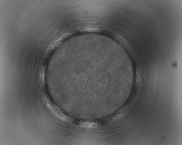 X0000115700542200912031508