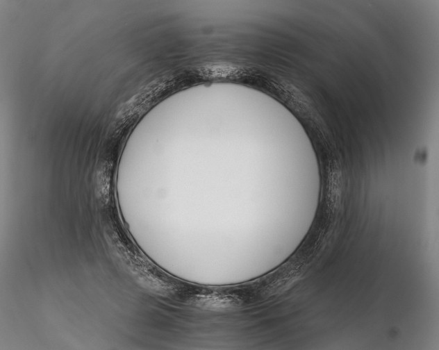 X0000115700545200912031508