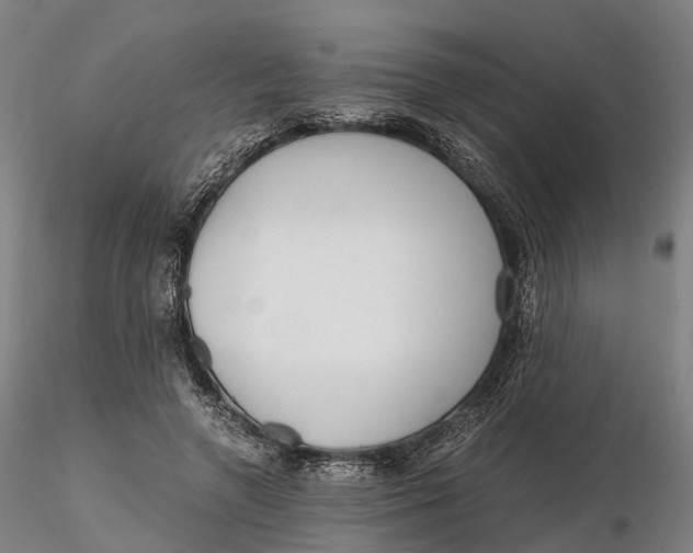 X0000115700546200912031508