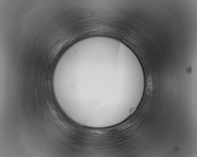 X0000115700547200912031508