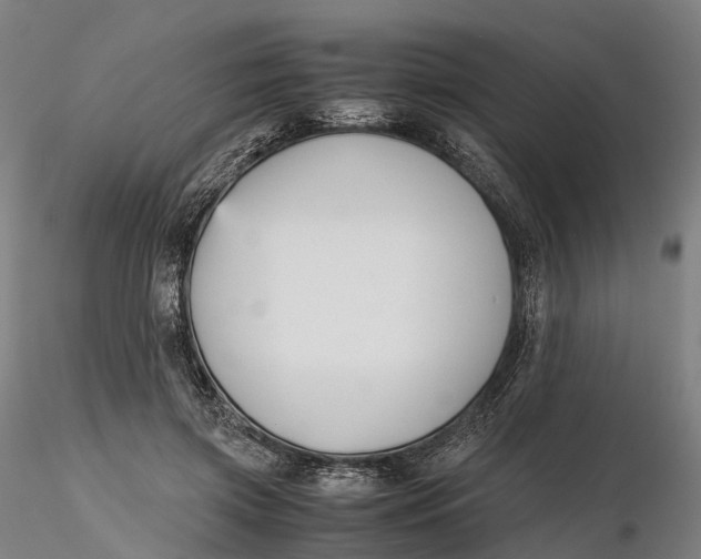 X0000115700549200912031508