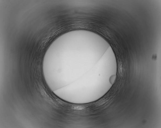 X0000115700551200912031508