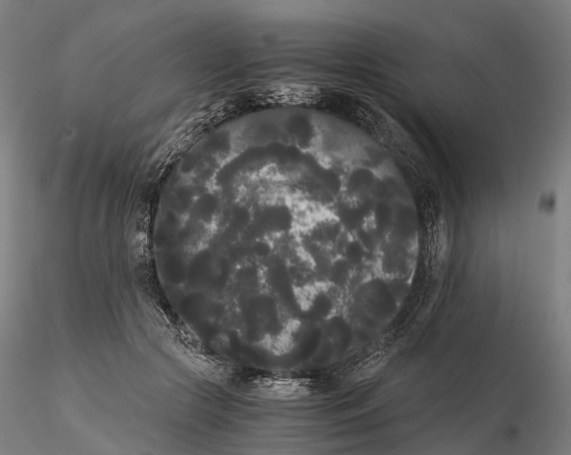 X0000115700553200912031508