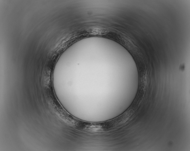 X0000115700554200912031508