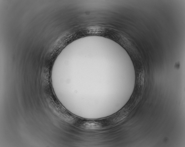 X0000115700557200912031508