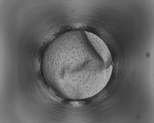 X0000115700558200912031508