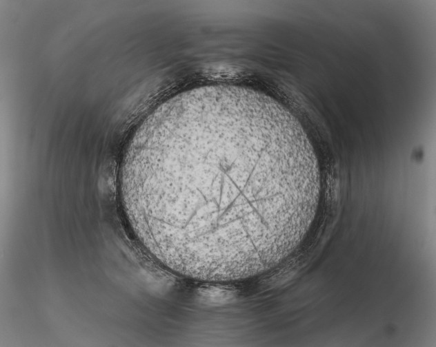 X0000115700561200912031508