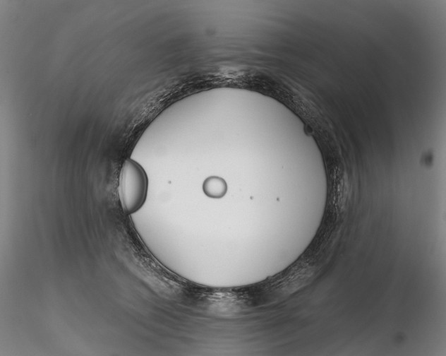 X0000115700562200912031508