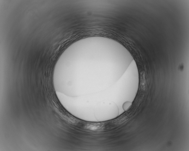 X0000115700563200912031508