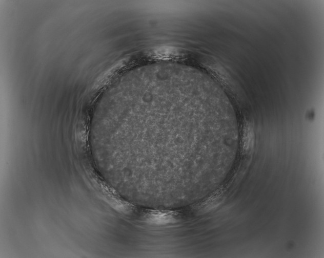 X0000115700569200912031508