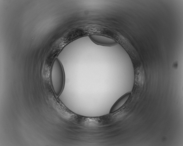 X0000115700573200912031508