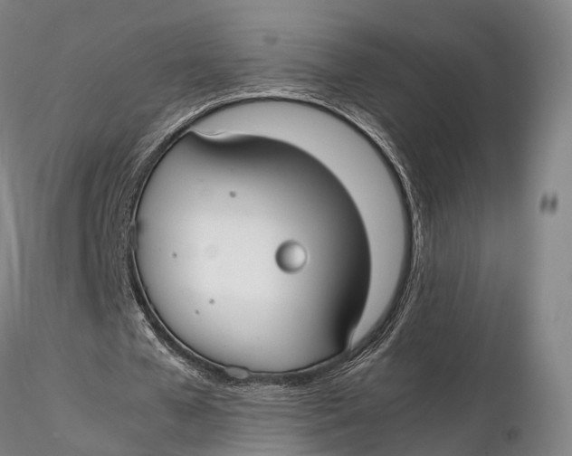 X0000115700577200912031507