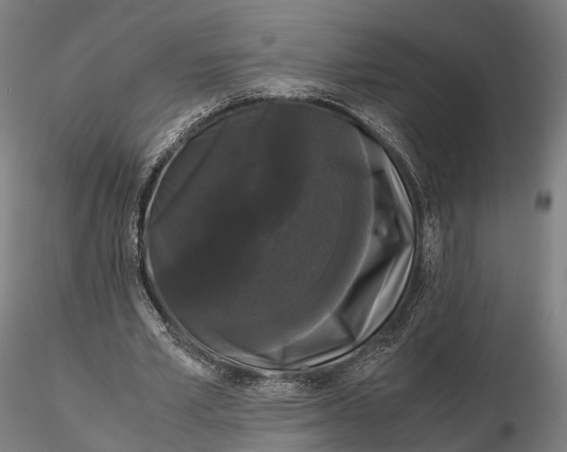 X0000115700581200912031507