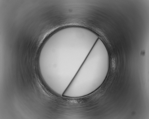 X0000115700588200912031507