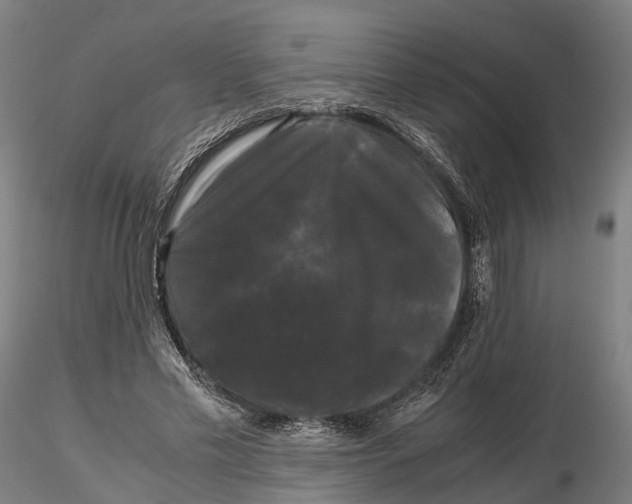 X0000115700589200912031507