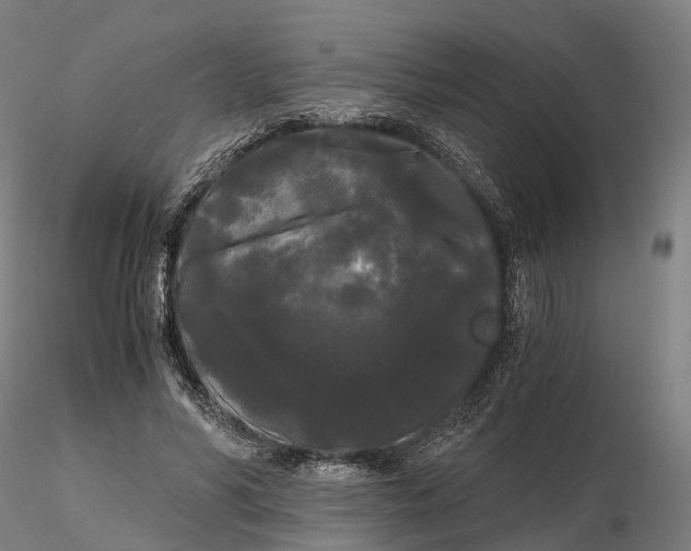 X0000115700590200912031507