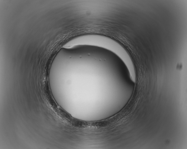 X0000115700593200912031507