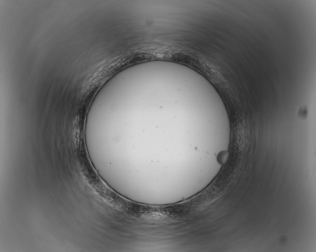 X0000115700594200912031507