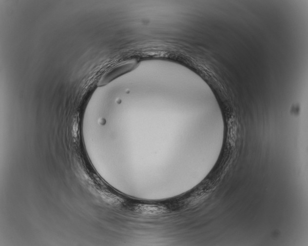 X0000115700597200912031507