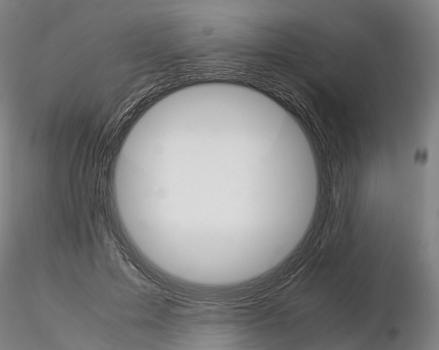 X0000115700599200912031507